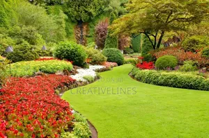 Creative Landscaping