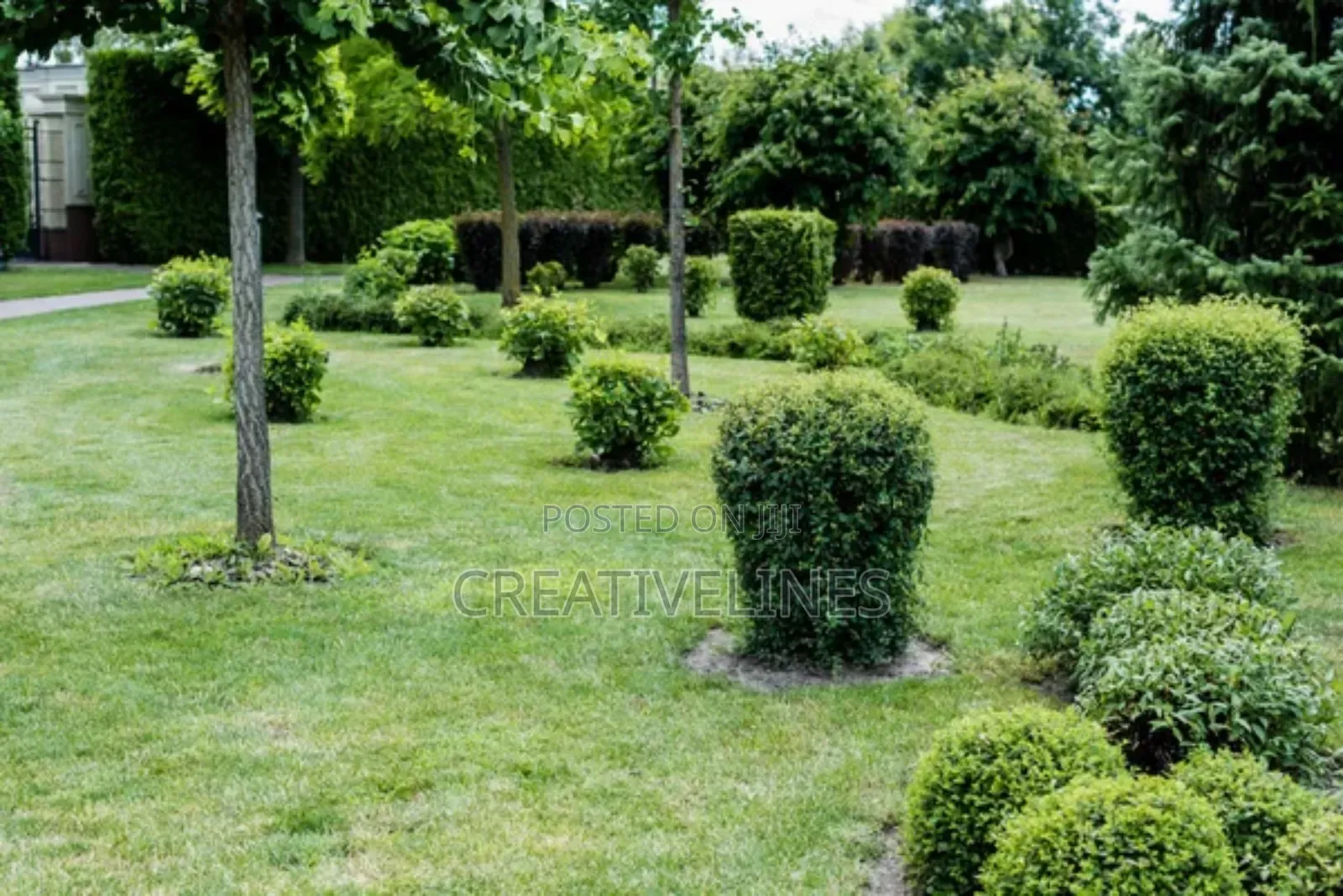 Creative Landscaping