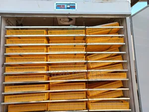 Quality Foreign Incubator at Affordable Price