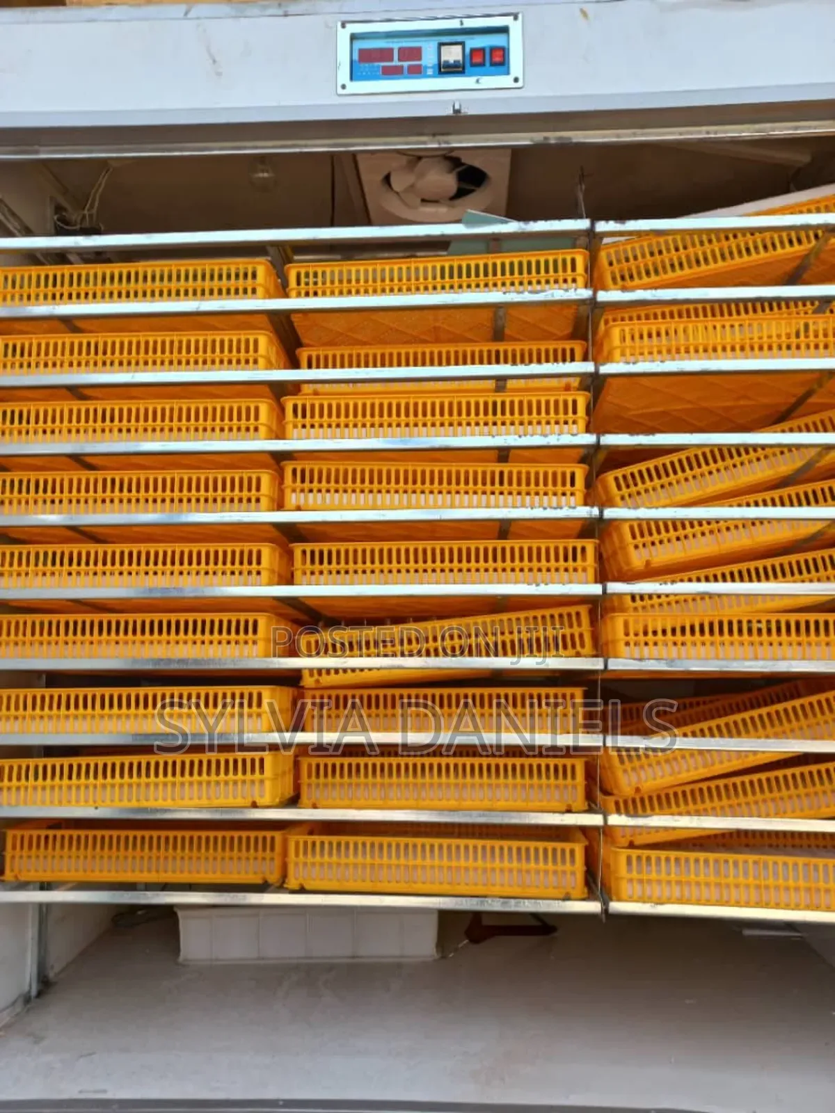 Quality Foreign Incubator at Affordable Price