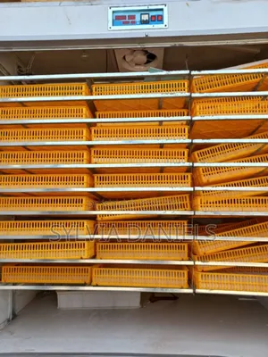 Quality Foreign Incubator at Affordable Price