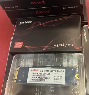 M.2 256 Solid State Drive