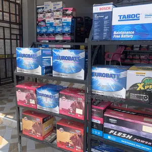 Automotive Car Batteries