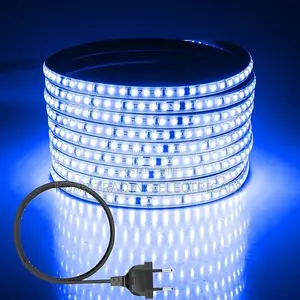 Rope Light