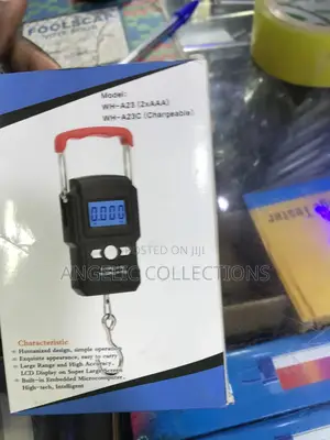 Chargeable Crane Scale 150kg
