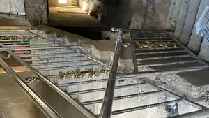 Stainless Design Balustrade
