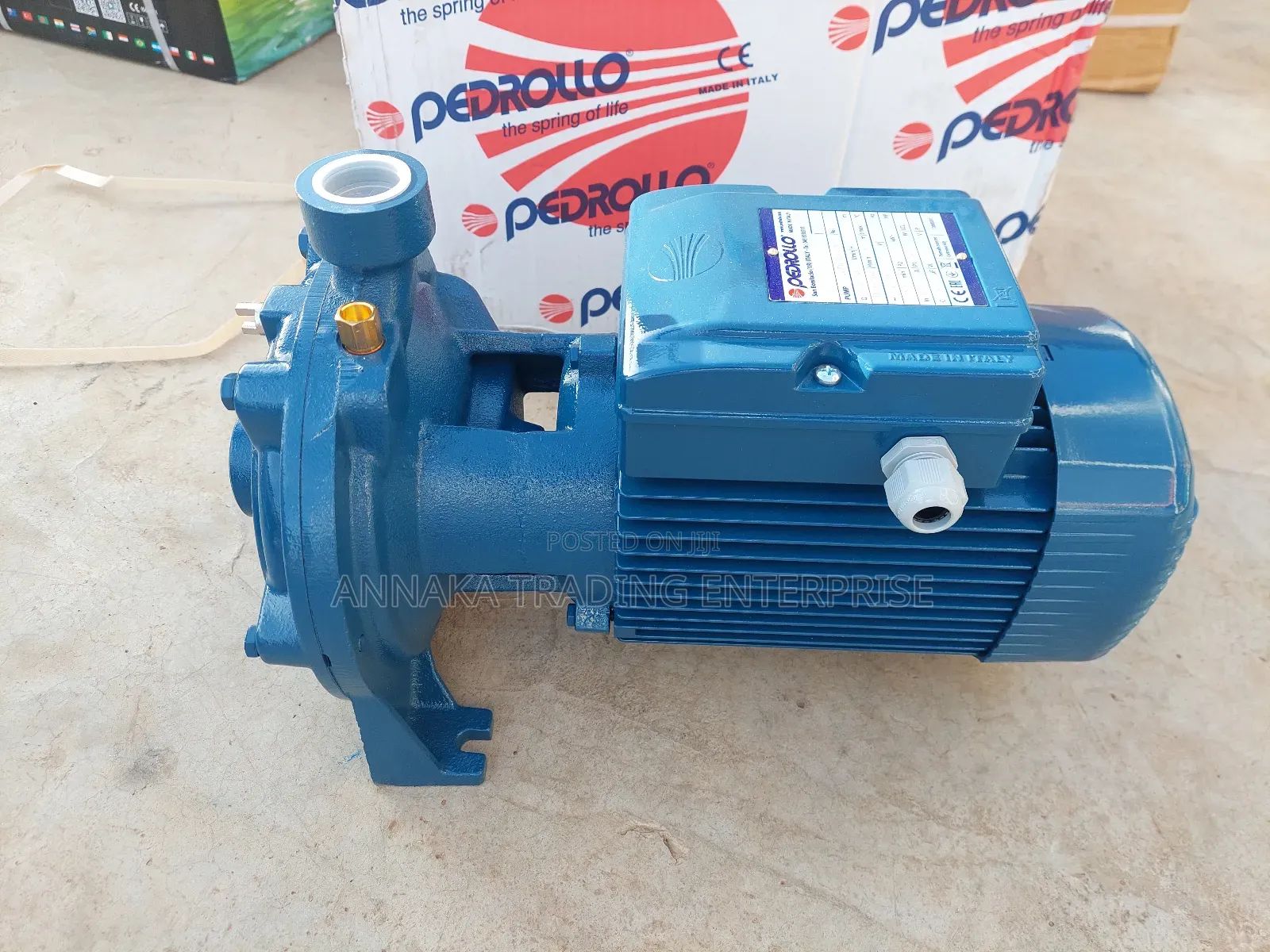 Pedrollo Water Pump