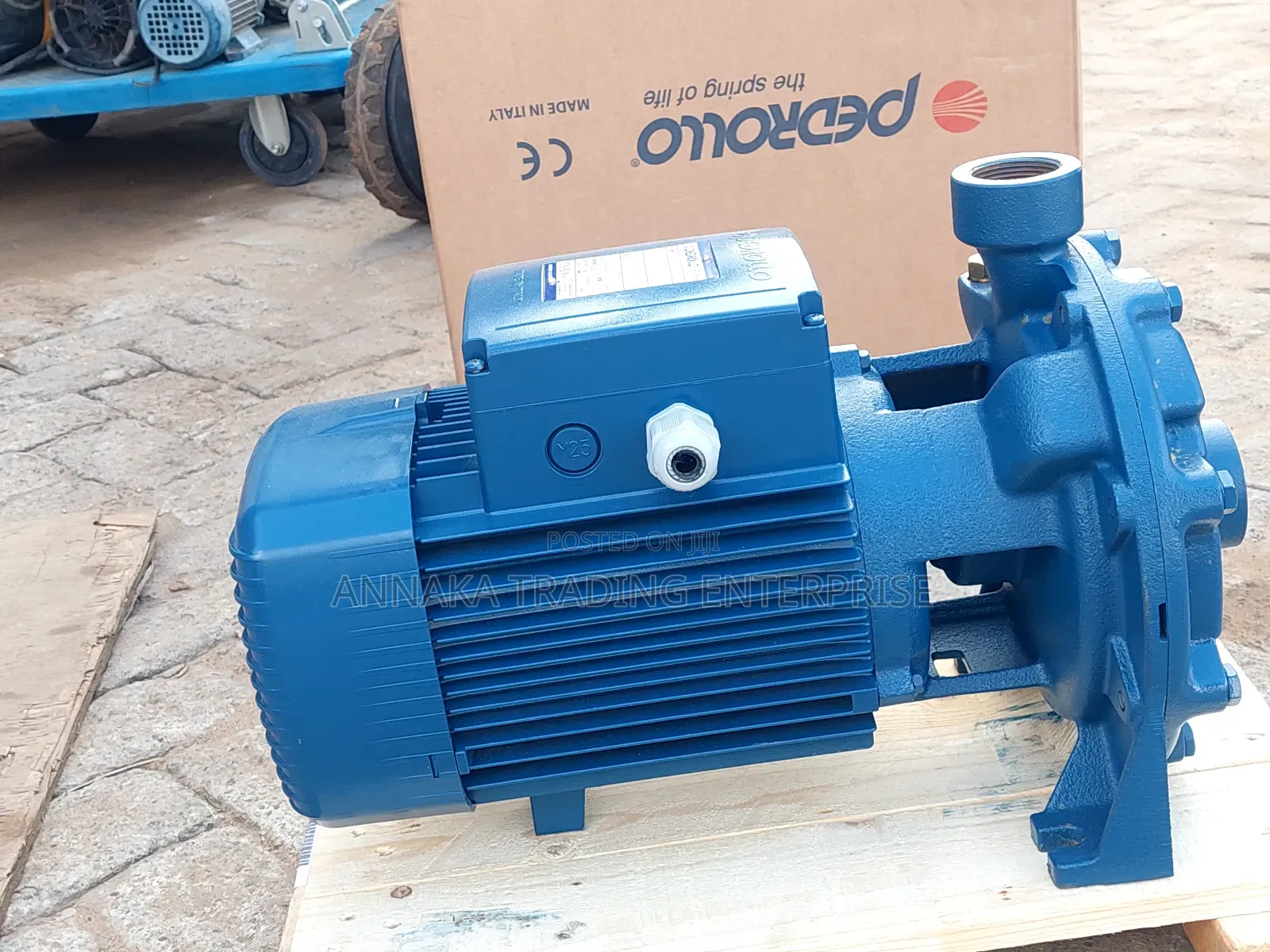 Italian Water Pump