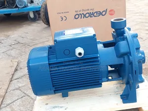 Italian Water Pump