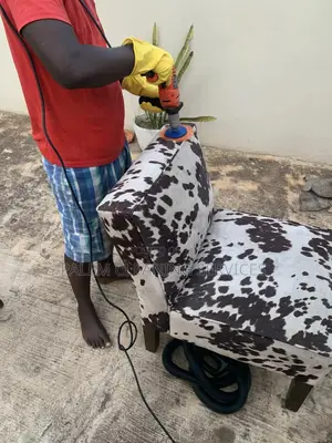 Sofa Cleaning