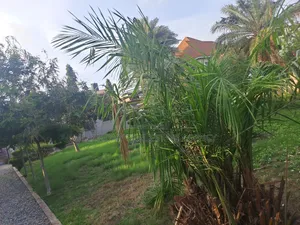 5bdrm House in Dzorwulu for rent