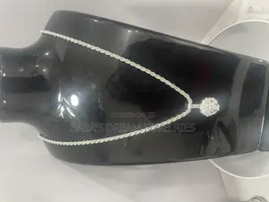 Photo - Silver Chain