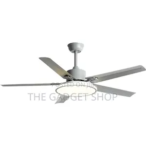 New Design Ceiling Fan