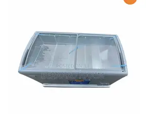 Delron Display Chest Freezer 258 Litres