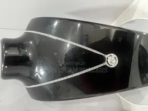 Photo - Silver Chain