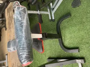 Stomach Bench Biceps Curl