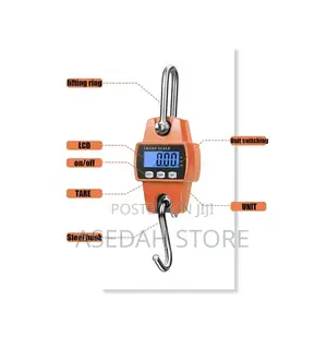 Portable Digital Electronic 300kg Mini Crane Scale