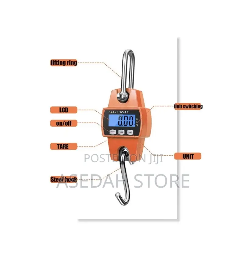 Portable Digital Electronic 300kg Mini Crane Scale