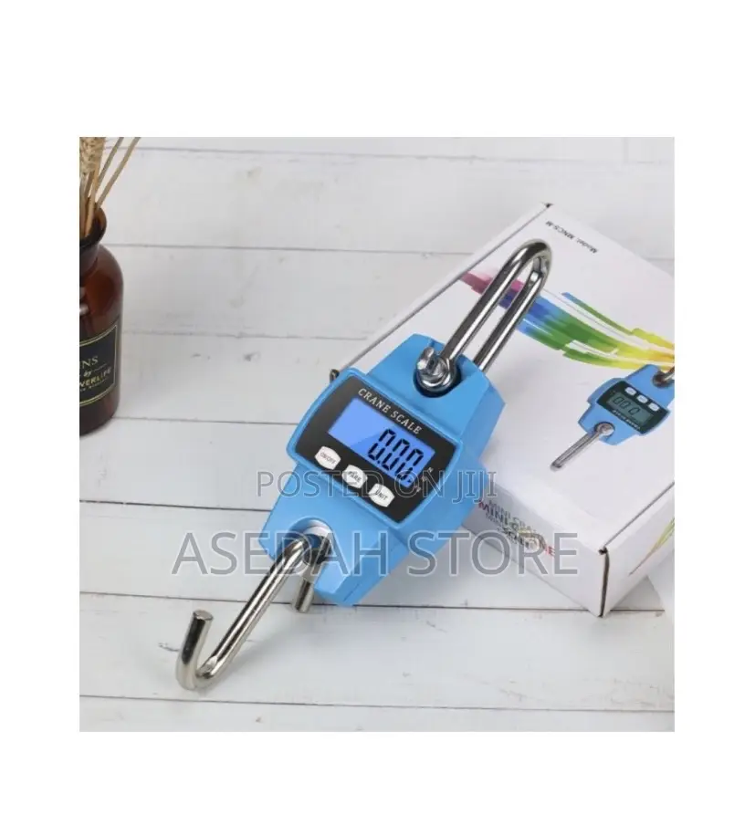 Portable Digital Electronic 300kg Mini Crane Scale