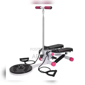 Mini Stepper With Twister