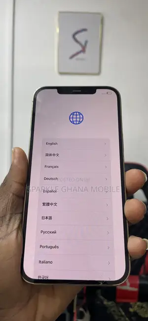 iPhone 12 Pro Max Screen