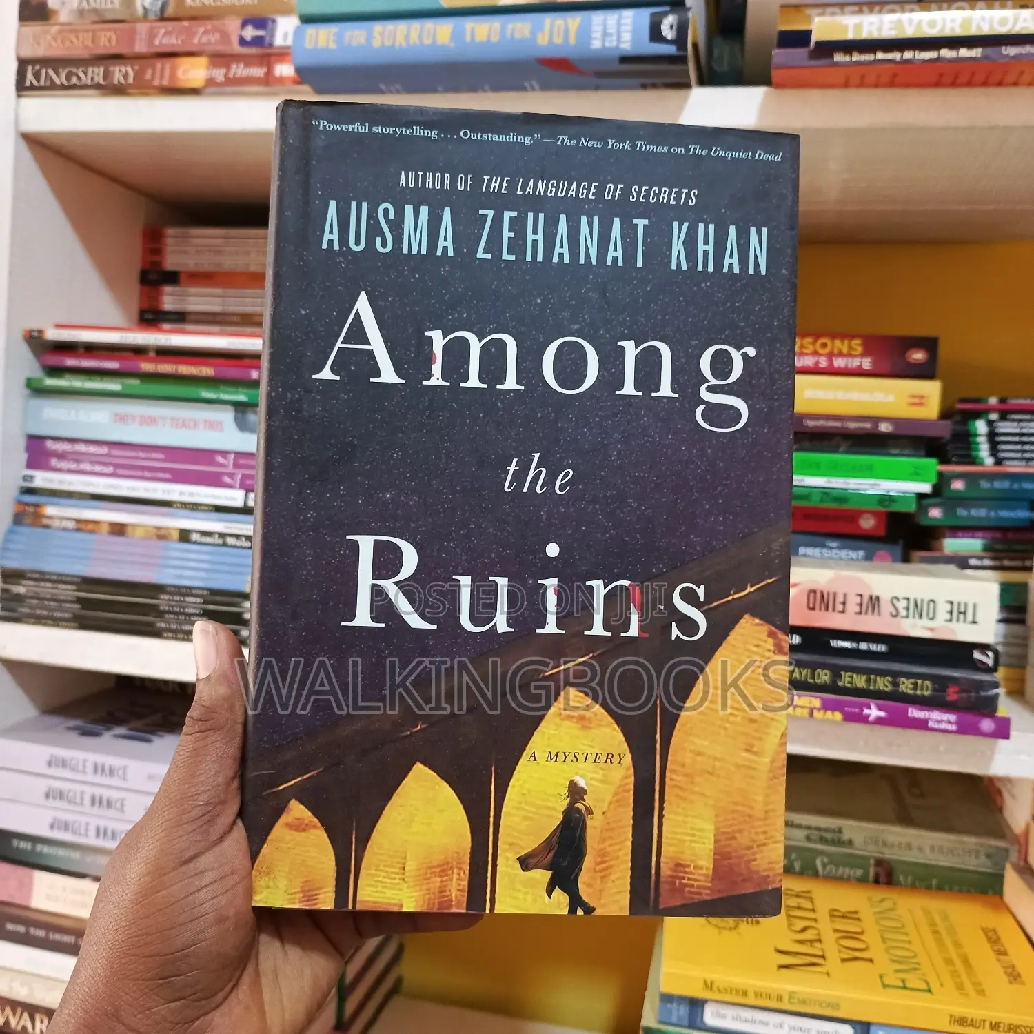 Among the Ruins: A Mystery