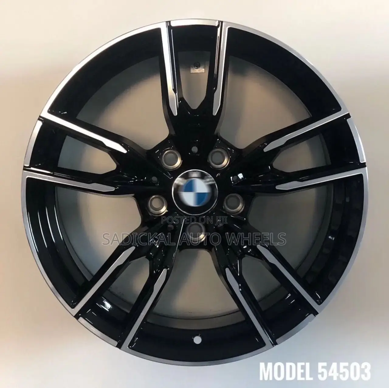 BMW Rim17 Rims