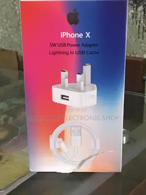 Apple iPhone Charger