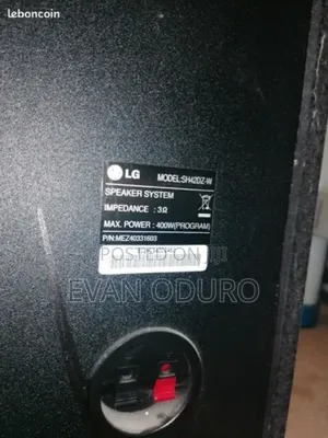 Powerful Lg Passive Woofer for Home Theater/Sound System