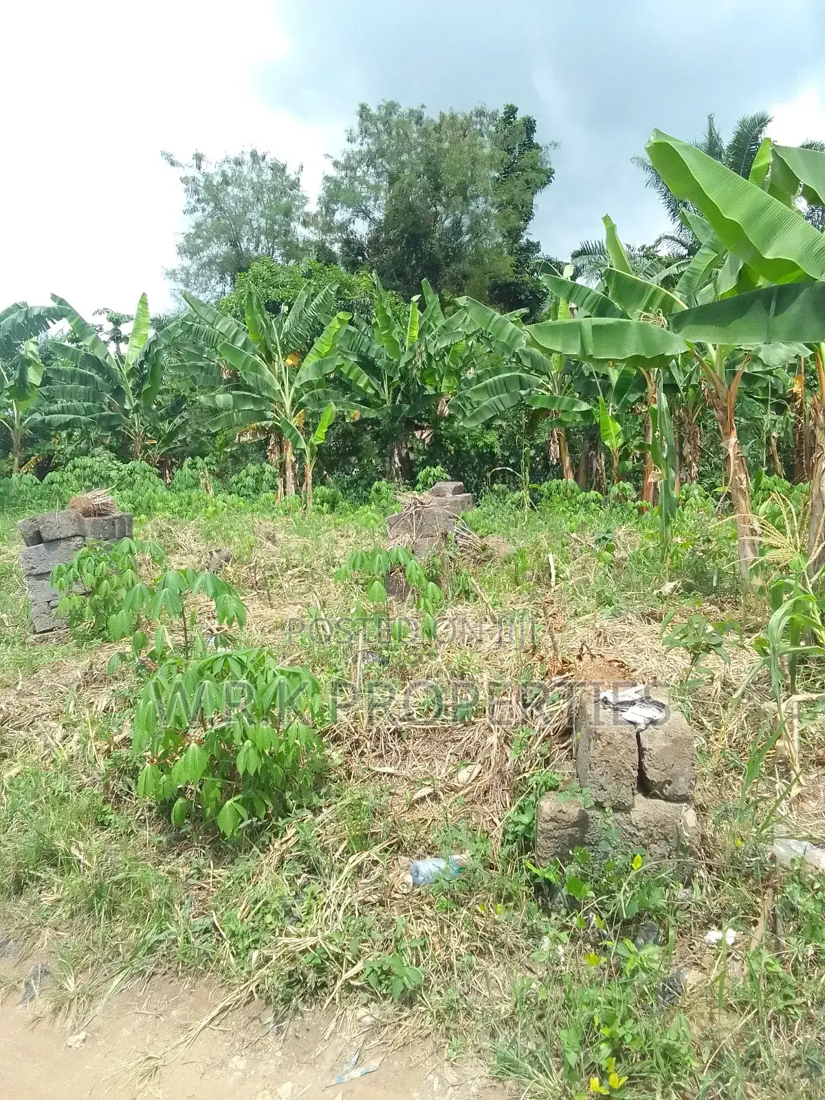 2 Plots of Land for Sale