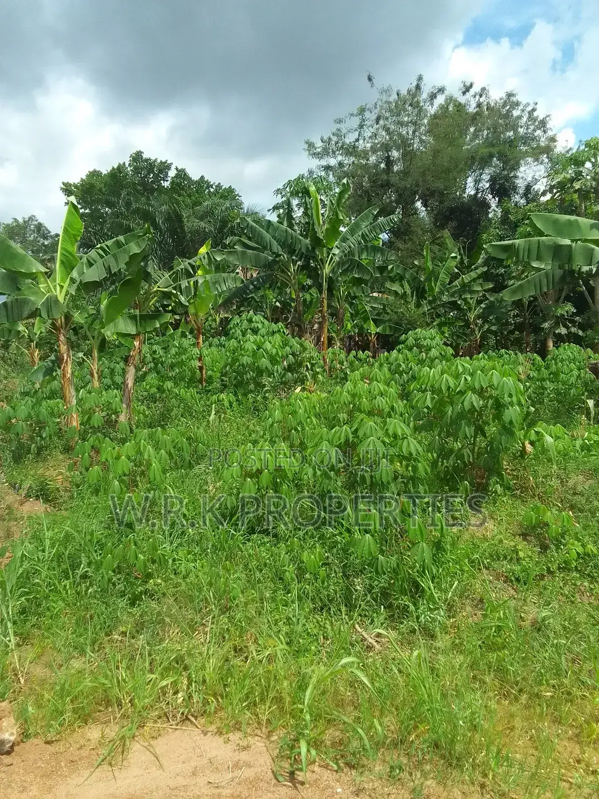2 Plots of Land for Sale