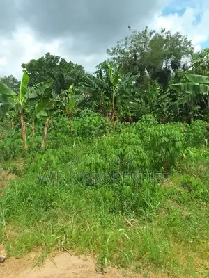 2 Plots of Land for Sale