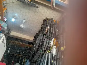 Back Shock Absorbers