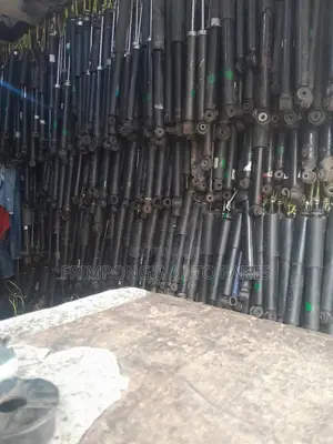 Back Shock Absorbers