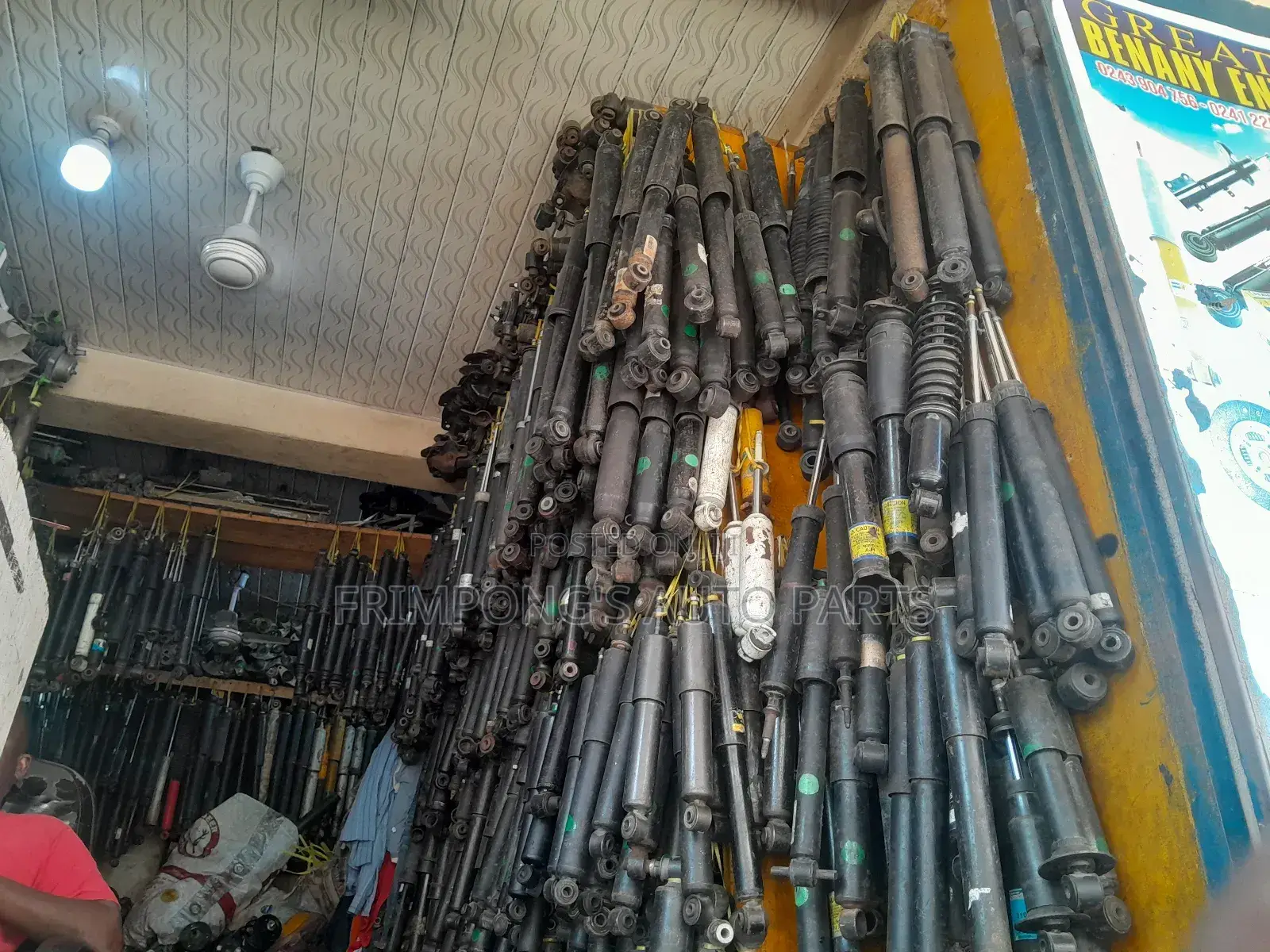 Back Shock Absorbers