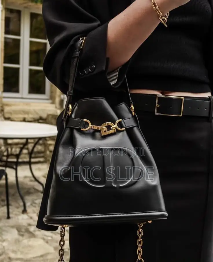 Ladies Dior Bags