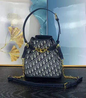 Ladies Dior Bags
