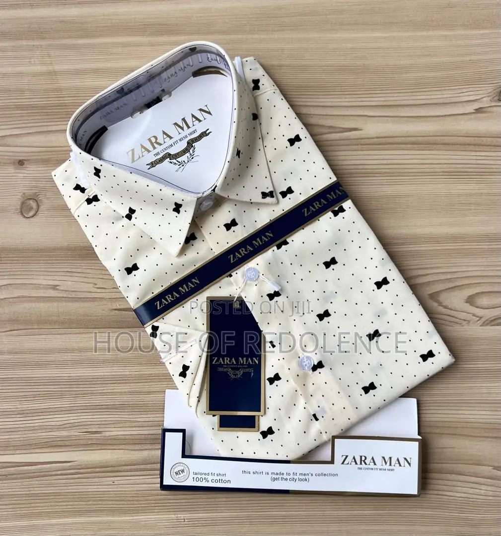 ZARA Design Long Sleeve Shirt