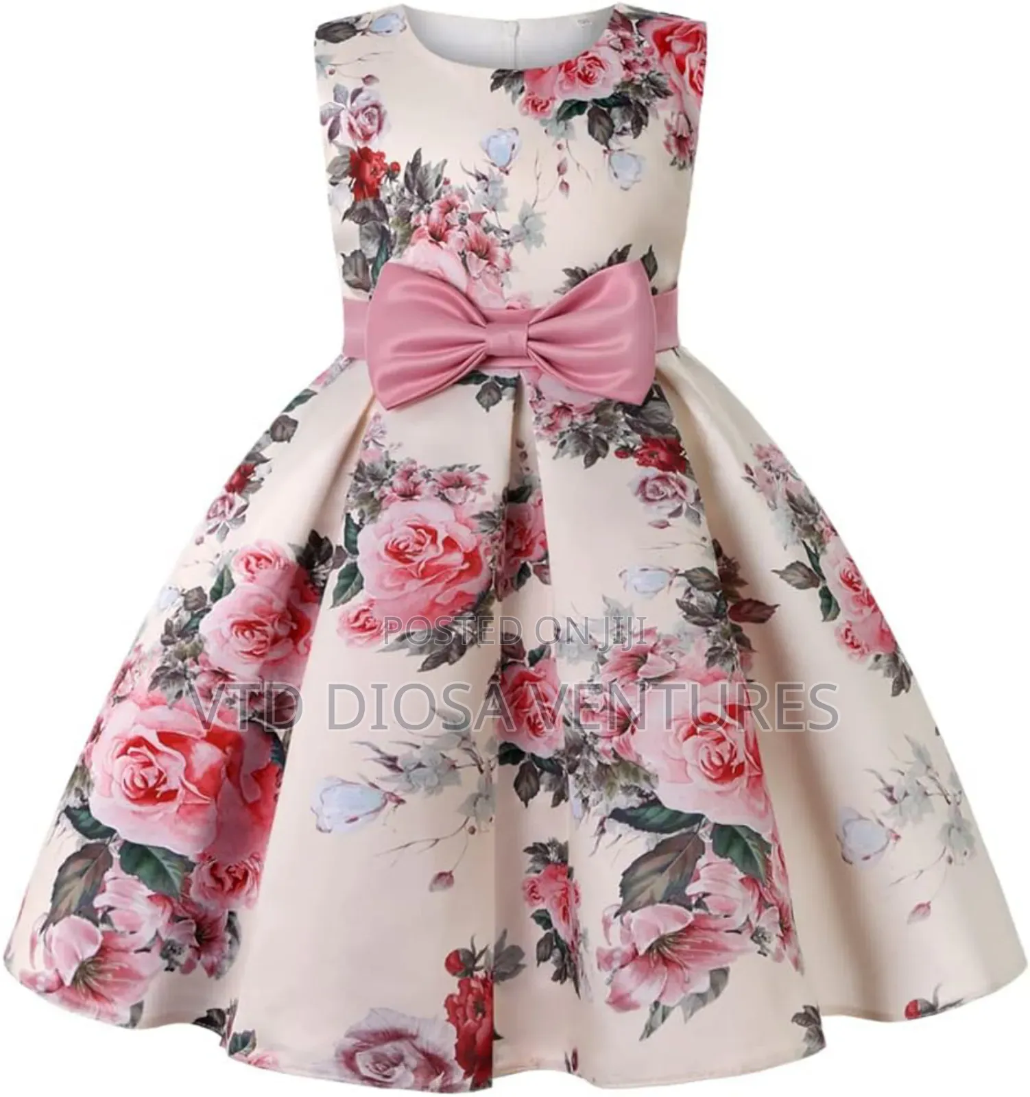 Fancy Princess Dress