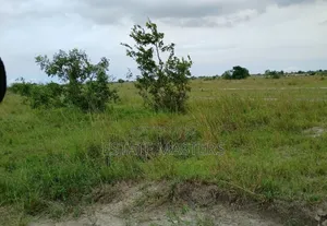 Own Your Dream Home Land Now