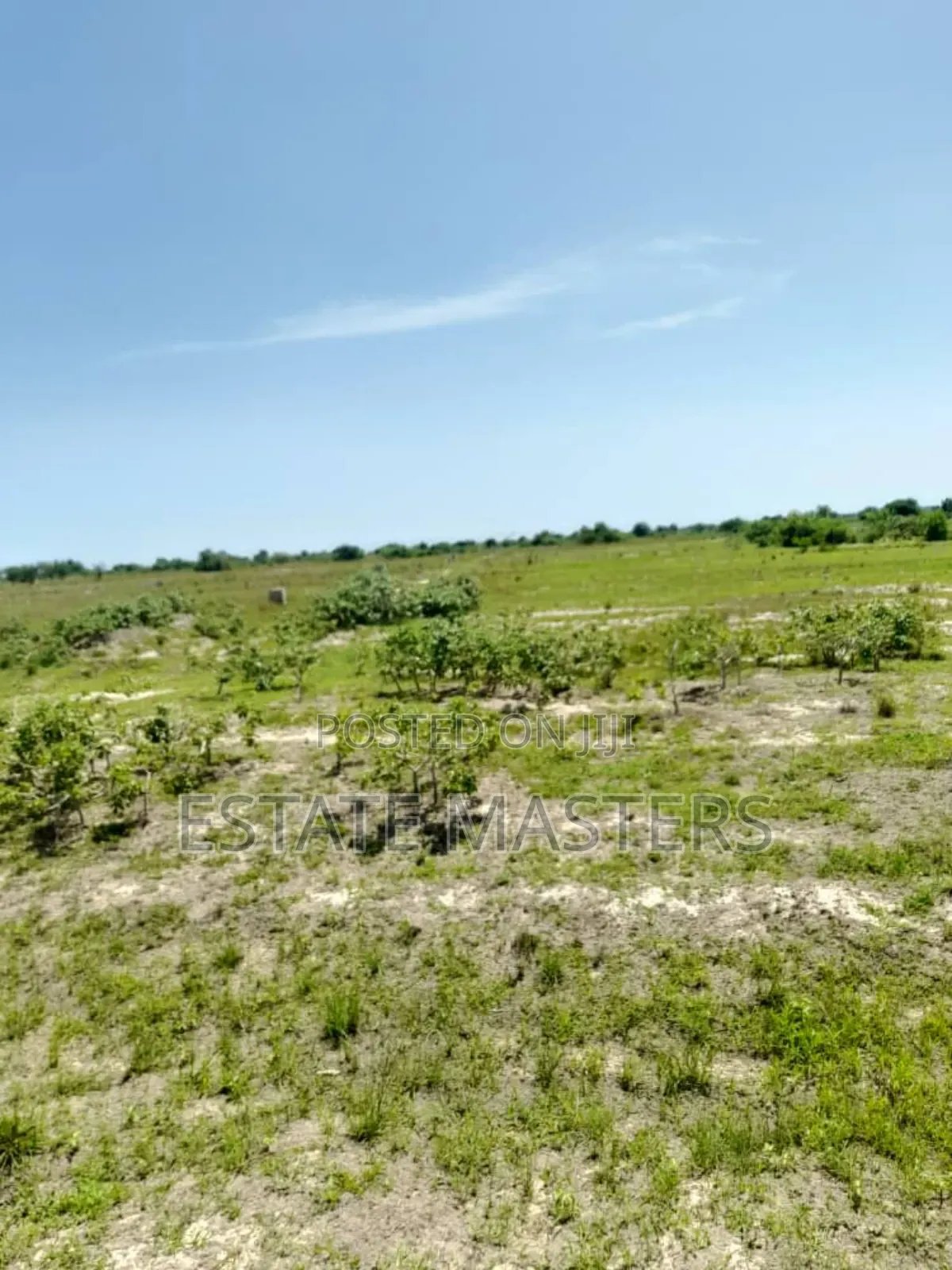 Registered Plots of Land for Sale at Tsopoli