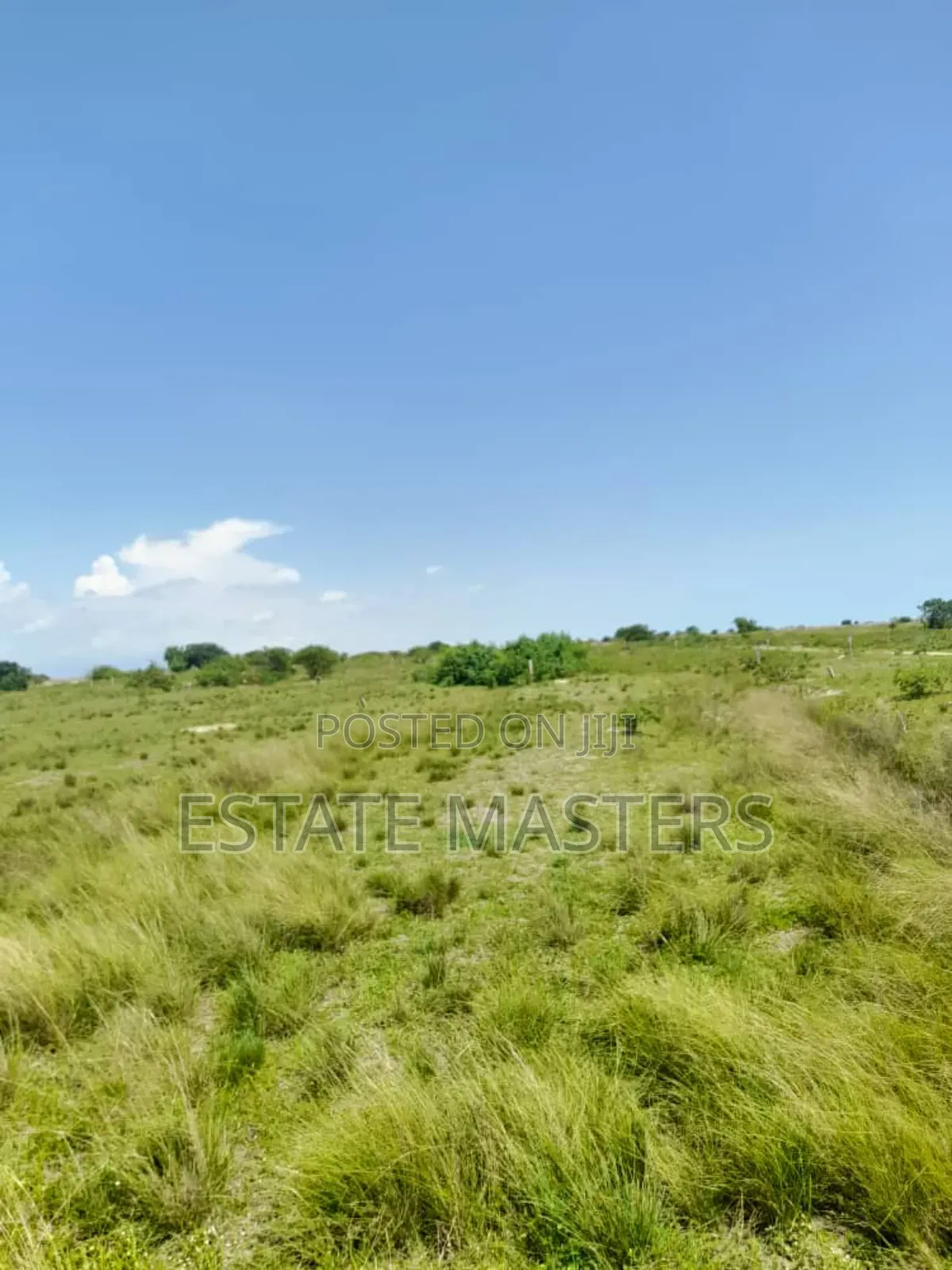 Registered Plots of Land for Sale at Tsopoli