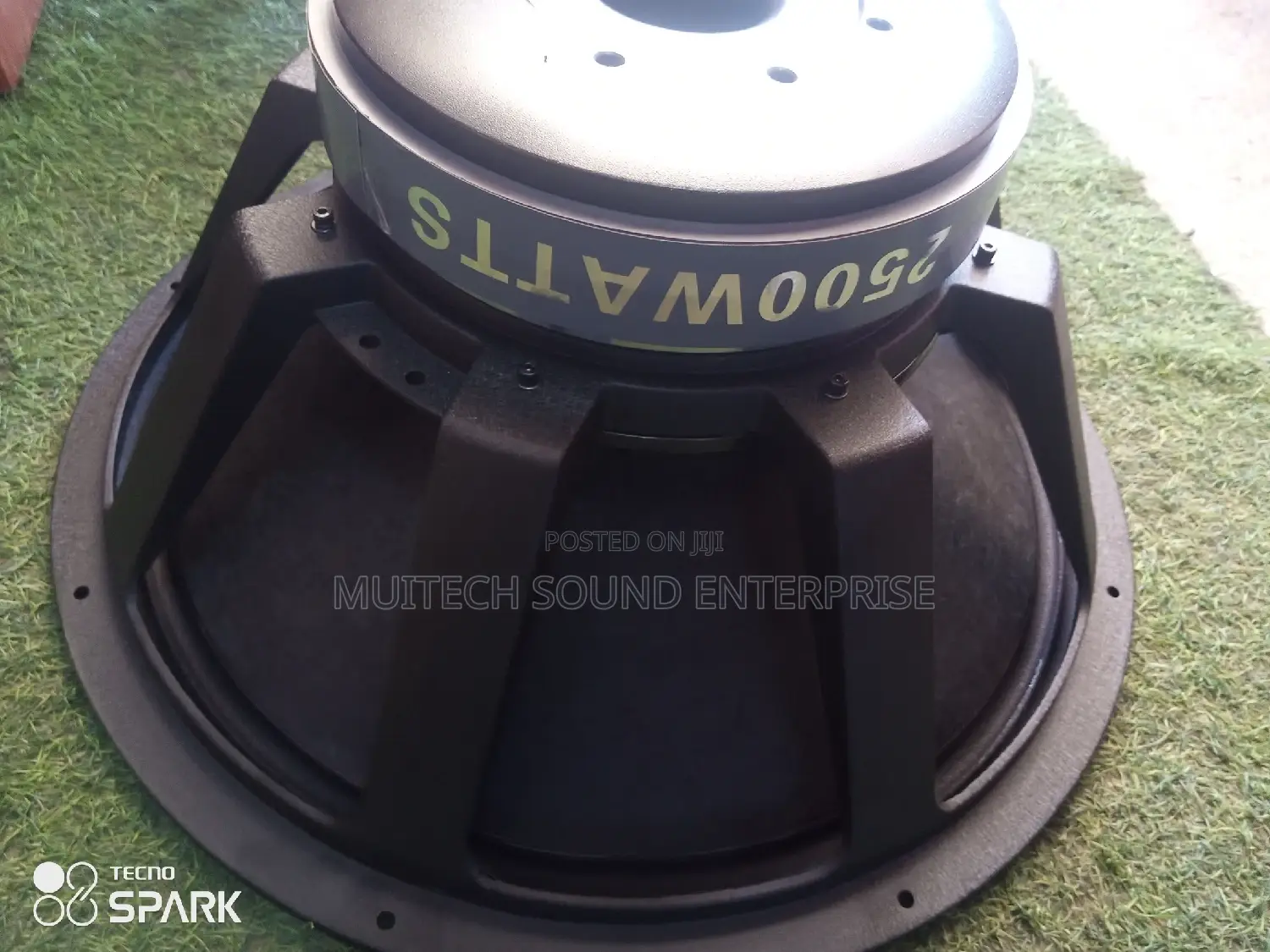 Titanic Naked Speaker '21'
