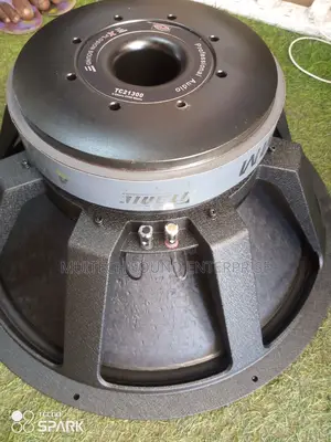 Titanic Naked Speaker '21'