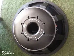 Titanic Naked Speaker '21'