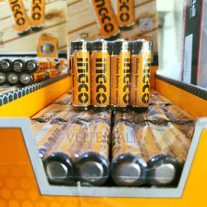 Ingco Alkaline Batteries