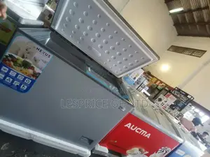 Big Size// Nexus 316L Chest Freezer