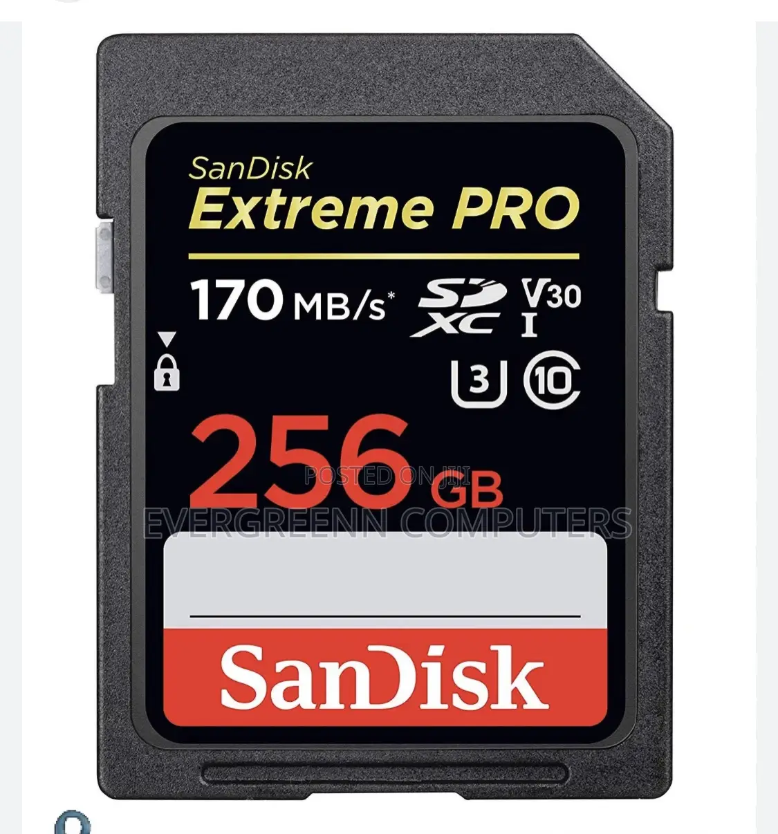 SD Card for Camera and Laptops