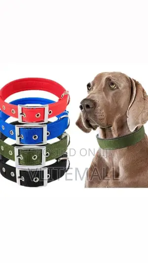 Dog Collar Size 4cm X68cm
