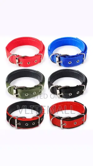 Dog Collar Size 4cm X68cm